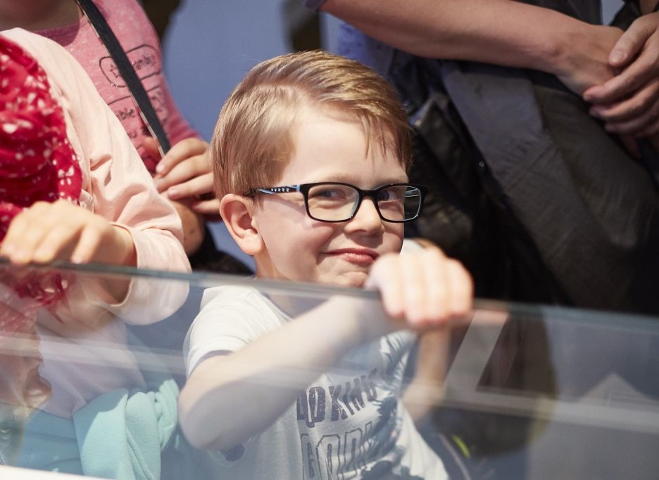 A boy leans against a display case in the baroque Cabinet of Artefacts and Natural Curiosities, gazing in amazement at the extraordinary objects.