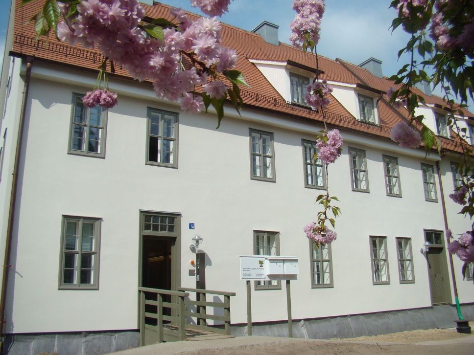 Das zweigeschossige historische Pächterhaus mit weißer Fassade leuchtet hinter den blühenden Kirschblüten 