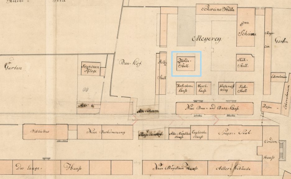 Das Detail eines handgezeichneten und kolorierten Plans gibt die Gebäude der Franckeschen Stiftungen um 1750 wieder. 
